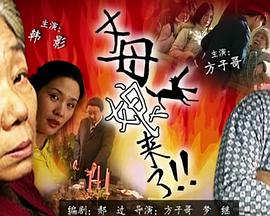 斯普林斯汀:百老汇音乐会